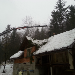 Brezje - Odstranjevanje dreves