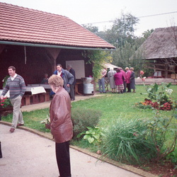 1997 - Dolenjska